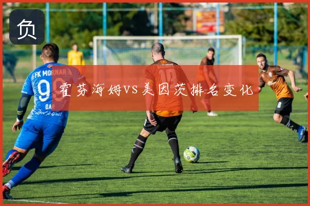 霍芬海姆vs美因茨排名变化
